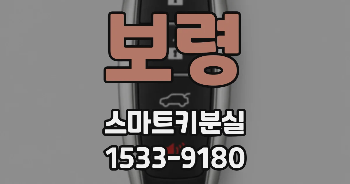 보령 스마트키분실
