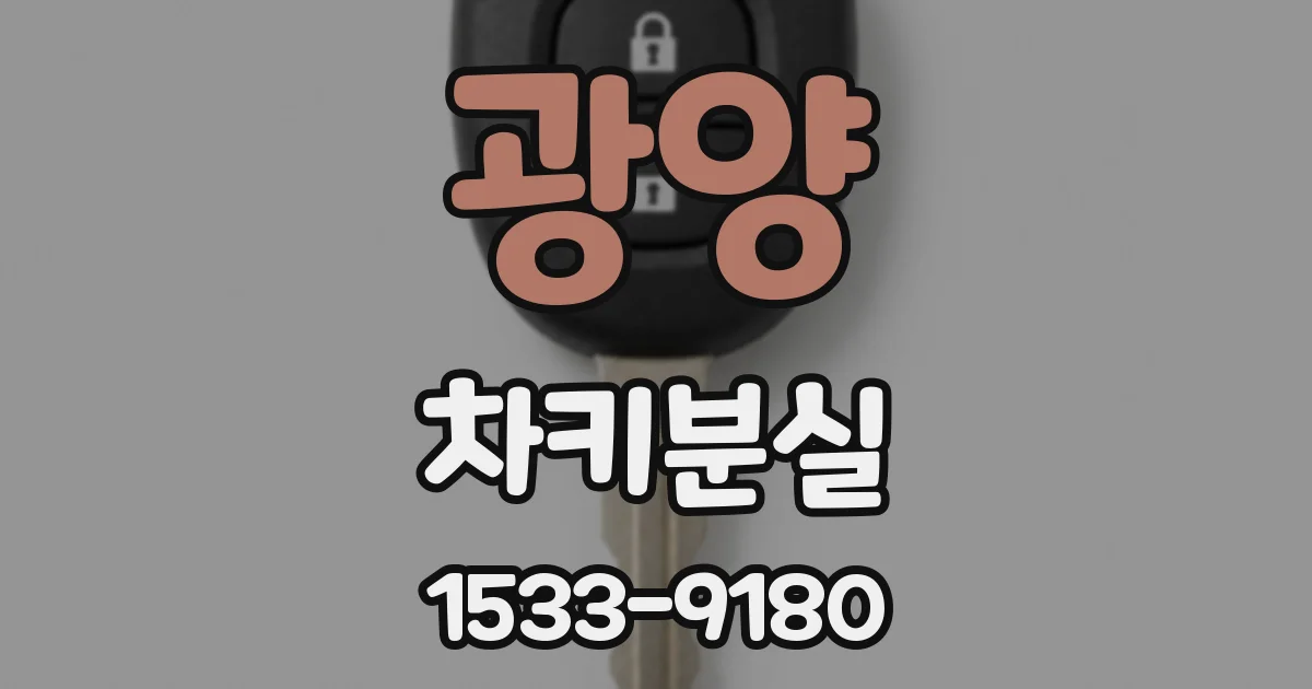 광양 차키분실