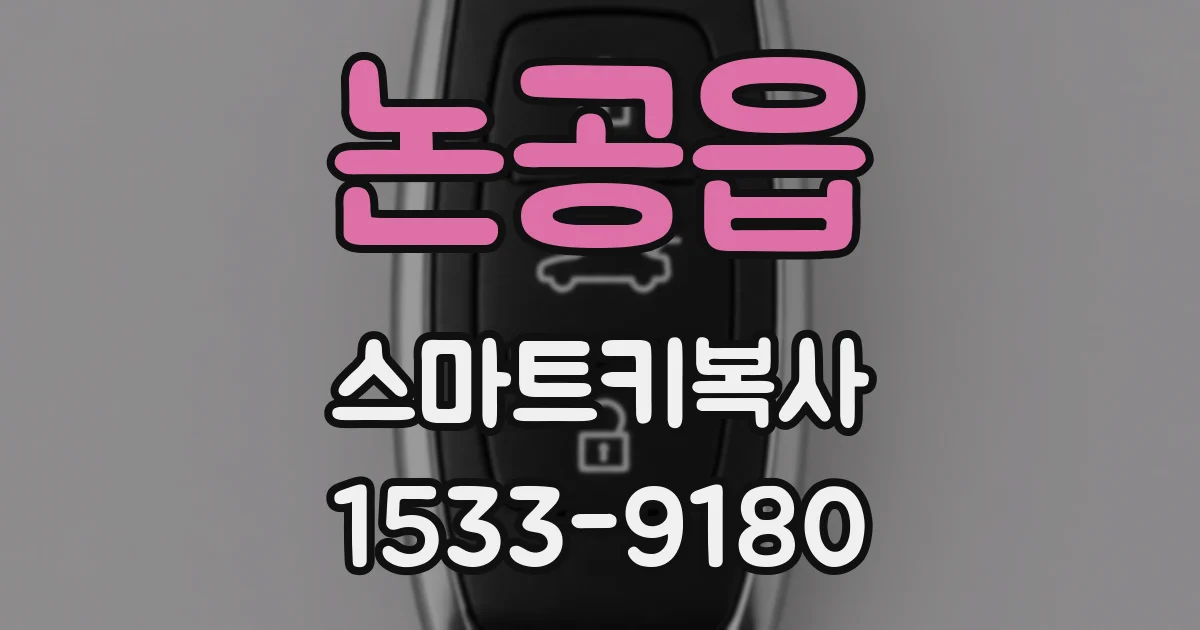 논공읍 스마트키복사