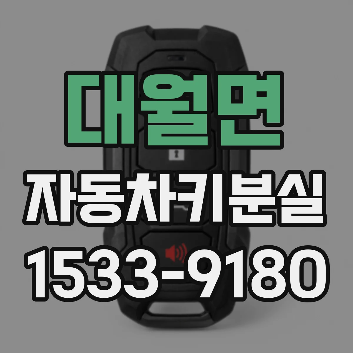 대월면 자동차키분실