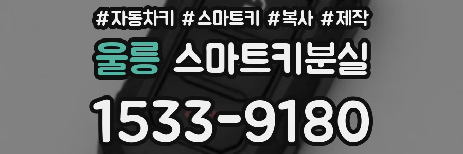 울릉 스마트키분실