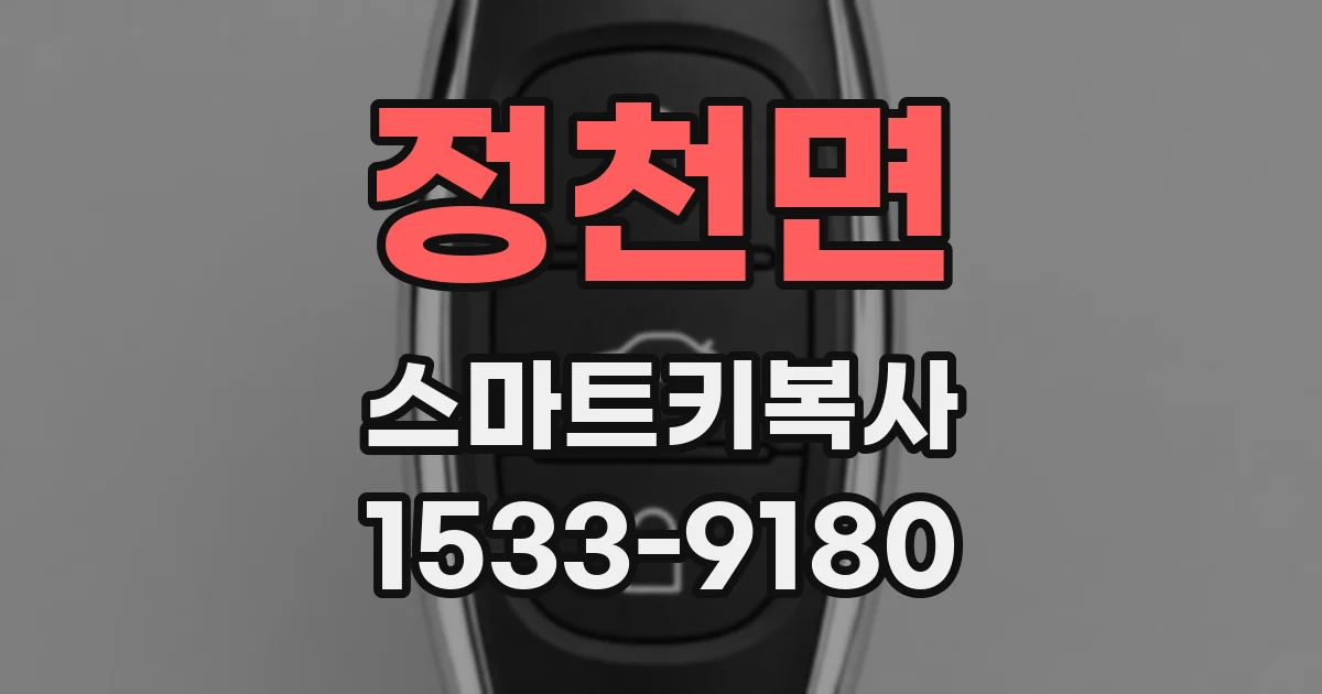 정천면 스마트키복사