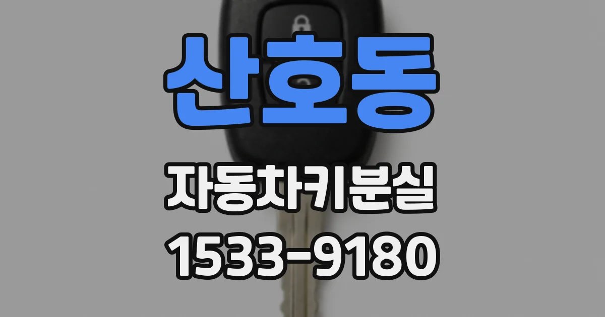 산호동 자동차키분실