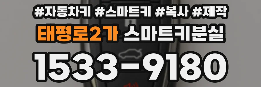 태평로2가 스마트키분실