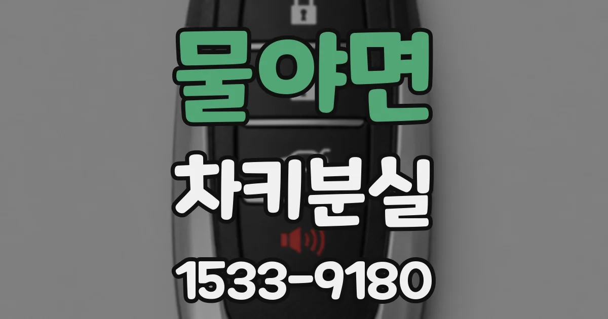 물야면 차키분실