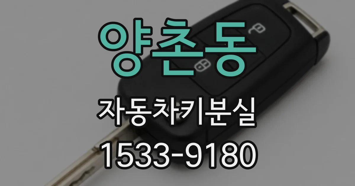 양촌동 자동차키분실