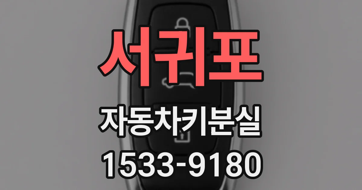 서귀포 자동차키분실