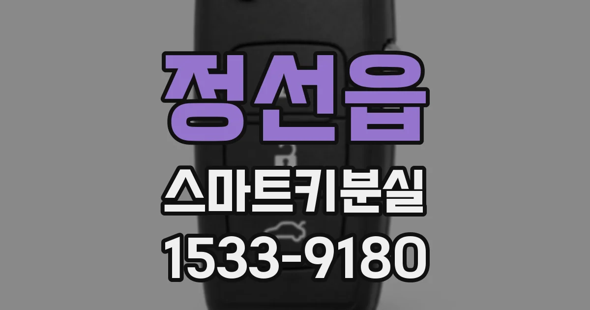 정선읍 스마트키분실