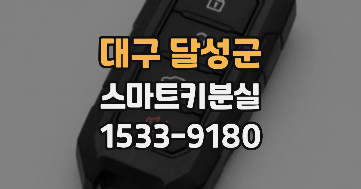 대구 달성군 스마트키분실