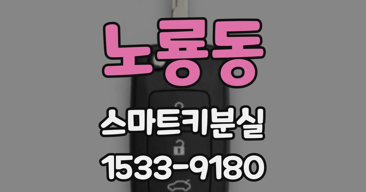 노룡동 스마트키분실