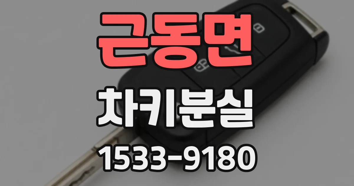 근동면 차키분실