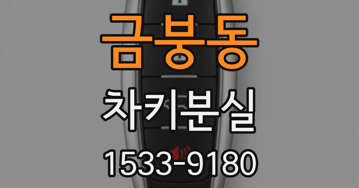 금붕동 차키분실