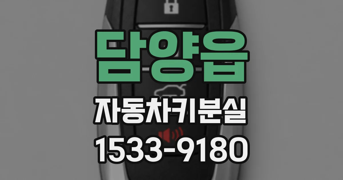 담양읍 자동차키분실