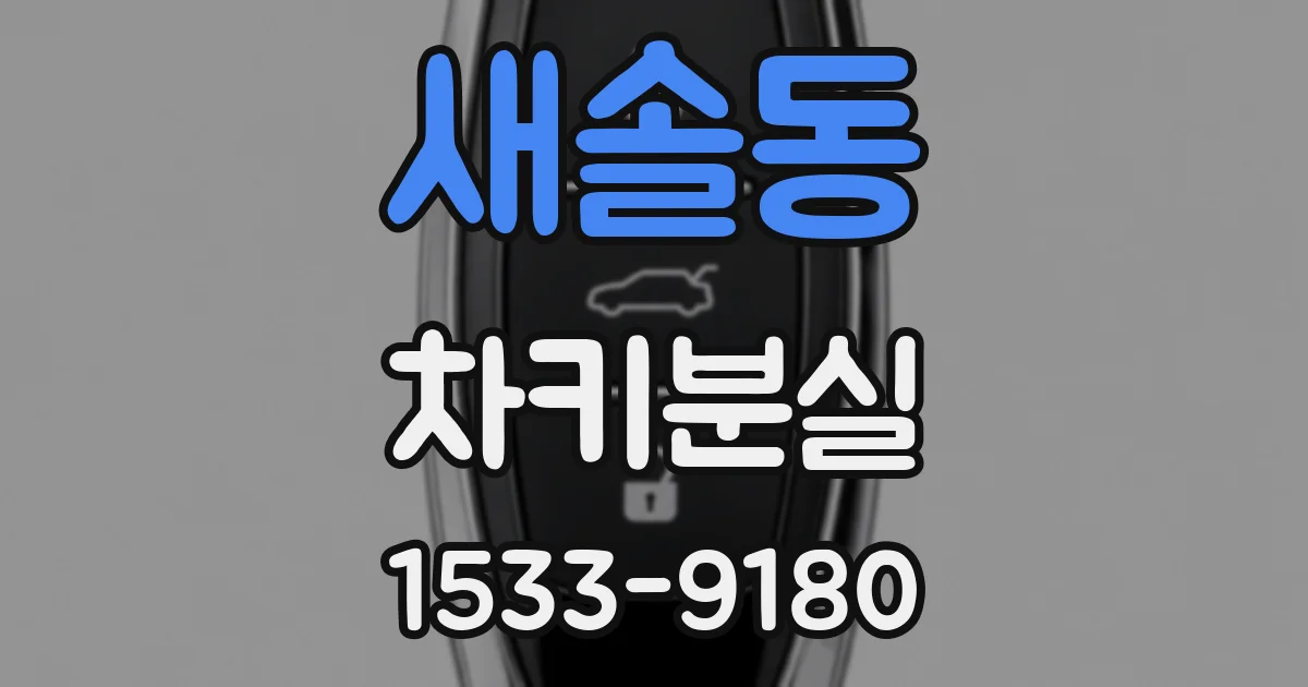 새솔동 차키분실