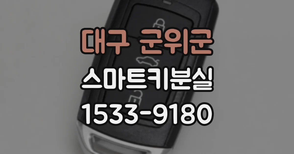대구 군위군 스마트키분실