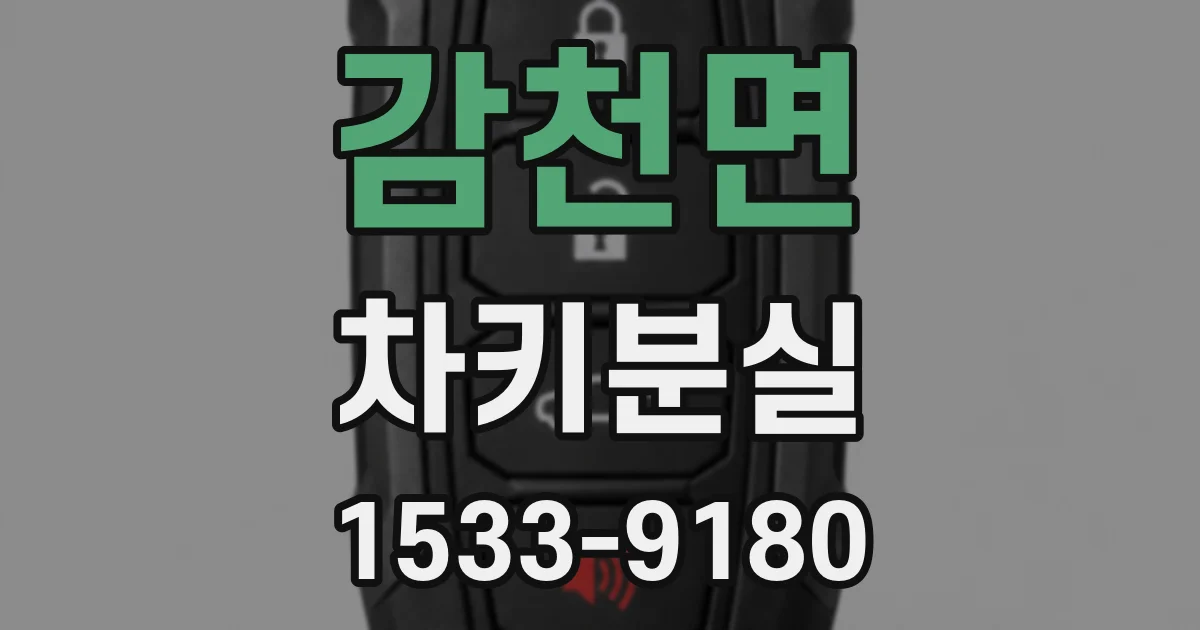 감천면 차키분실