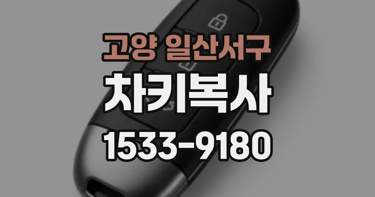고양 일산서구 차키복사