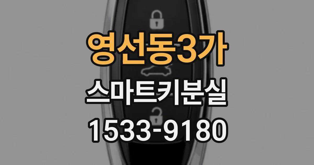 영선동3가 스마트키분실