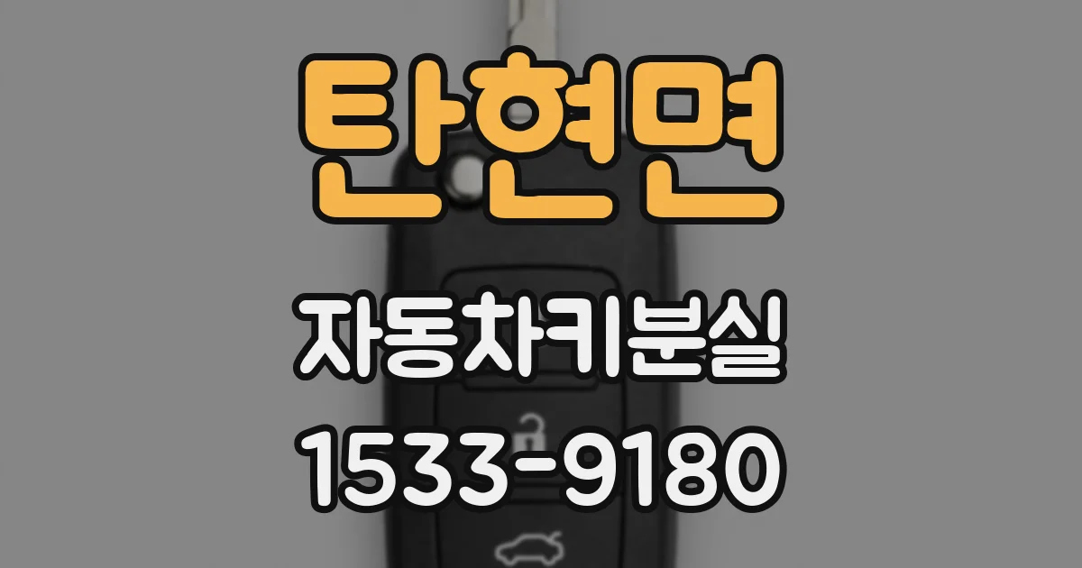 탄현면 자동차키분실