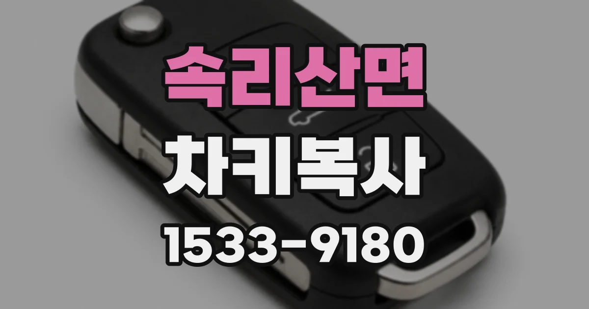 속리산면 차키복사