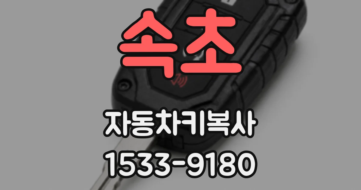 속초 자동차키복사