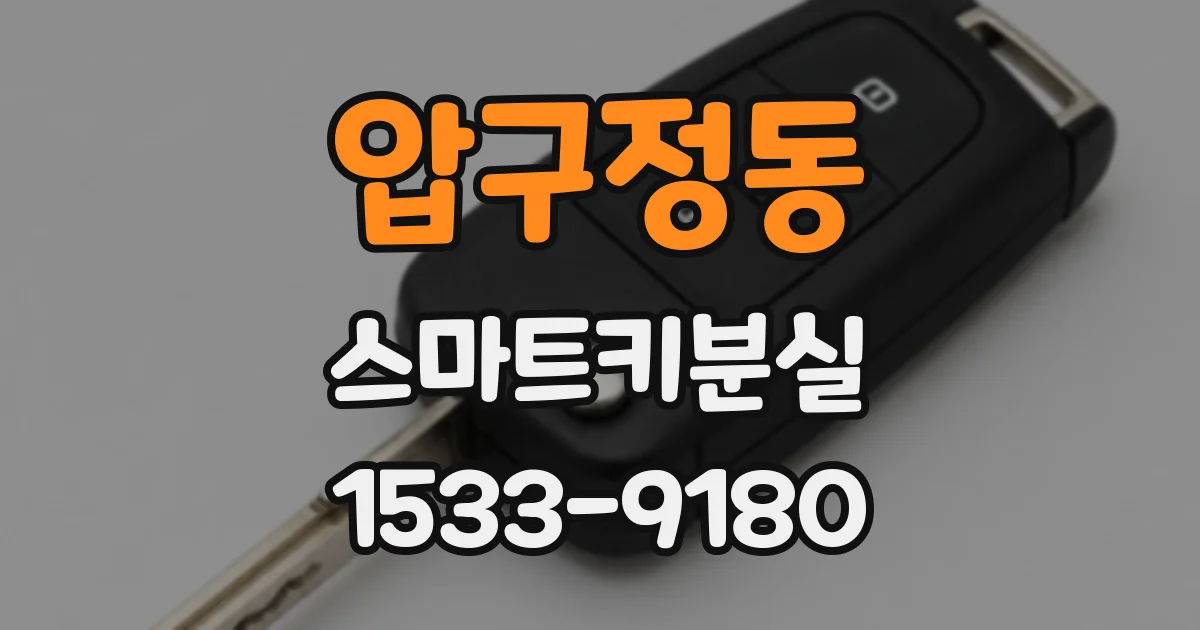 압구정동 스마트키분실