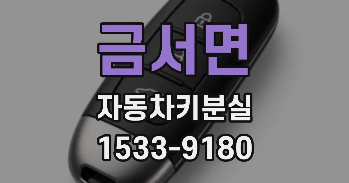 금서면 자동차키분실