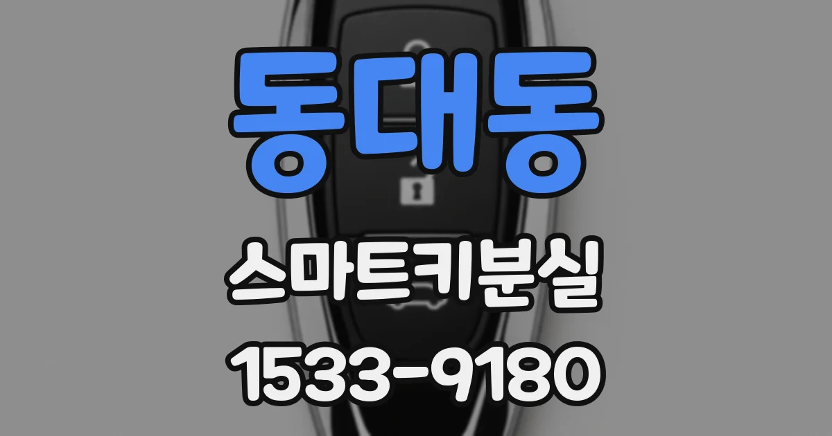 동대동 스마트키분실