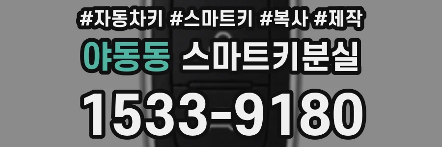 야동동 스마트키분실