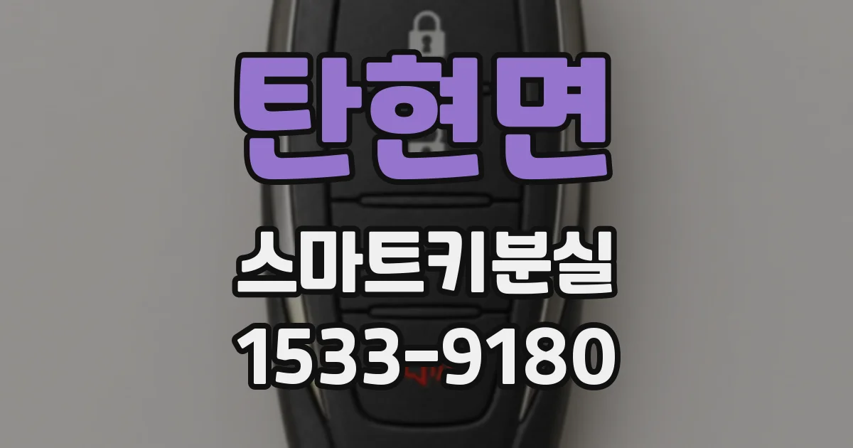 탄현면 스마트키분실