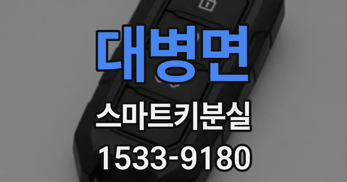 대병면 스마트키분실