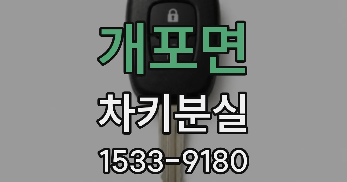 개포면 차키분실