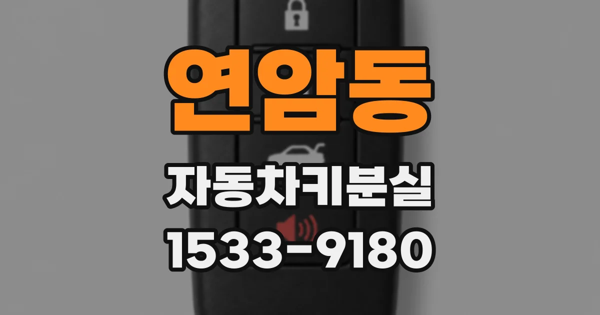 연암동 자동차키분실