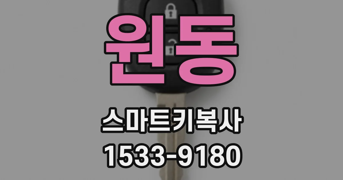 원동 스마트키복사