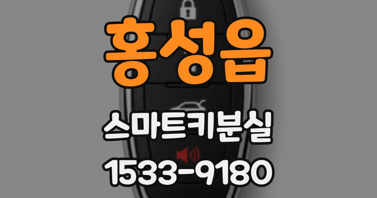 홍성읍 스마트키분실
