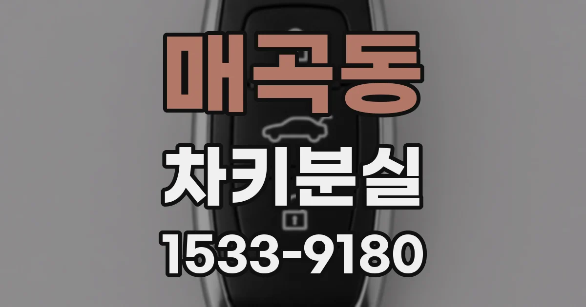 매곡동 차키분실