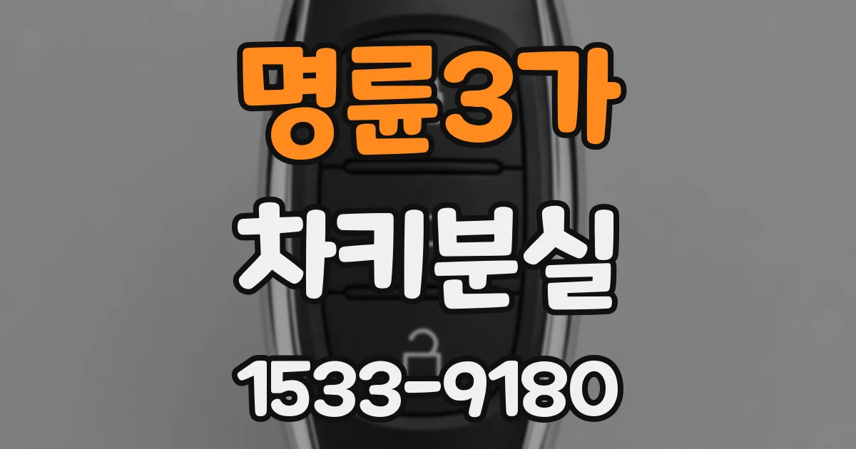 명륜3가 차키분실
