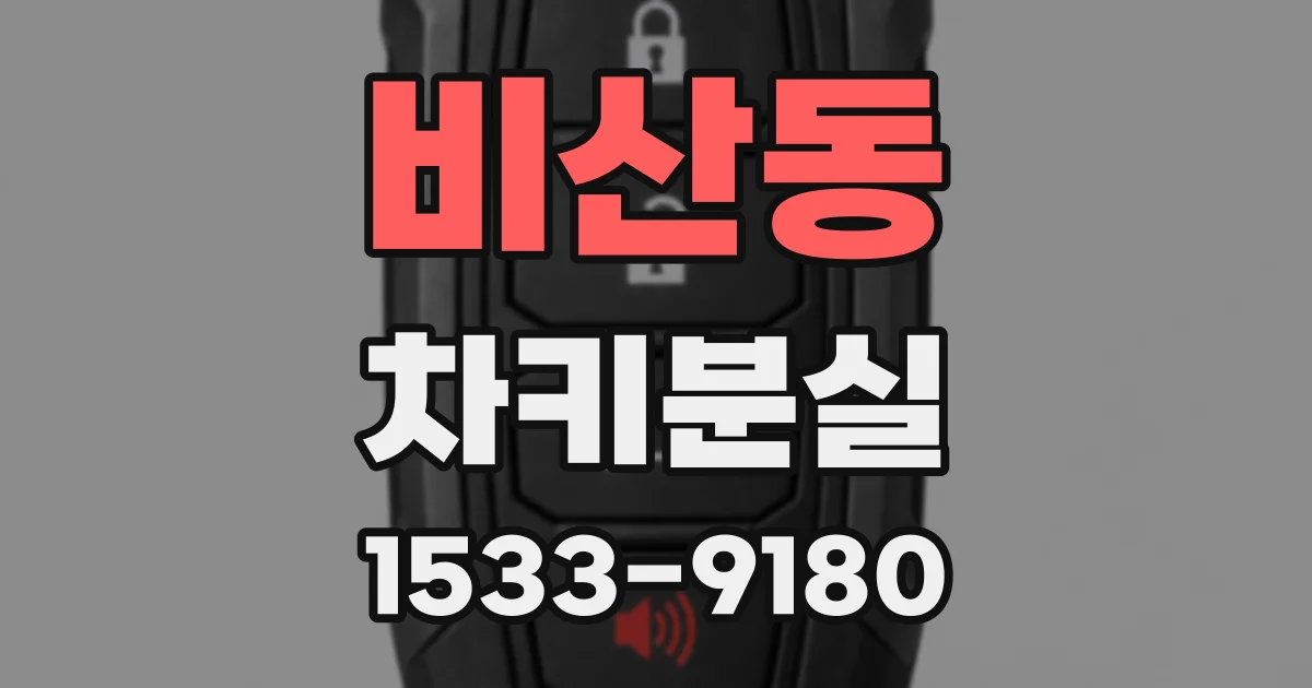 비산동 차키분실