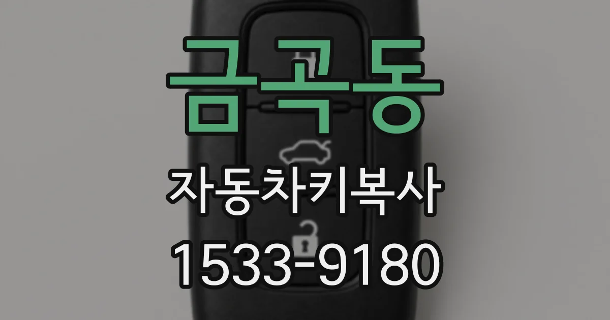 금곡동 자동차키복사