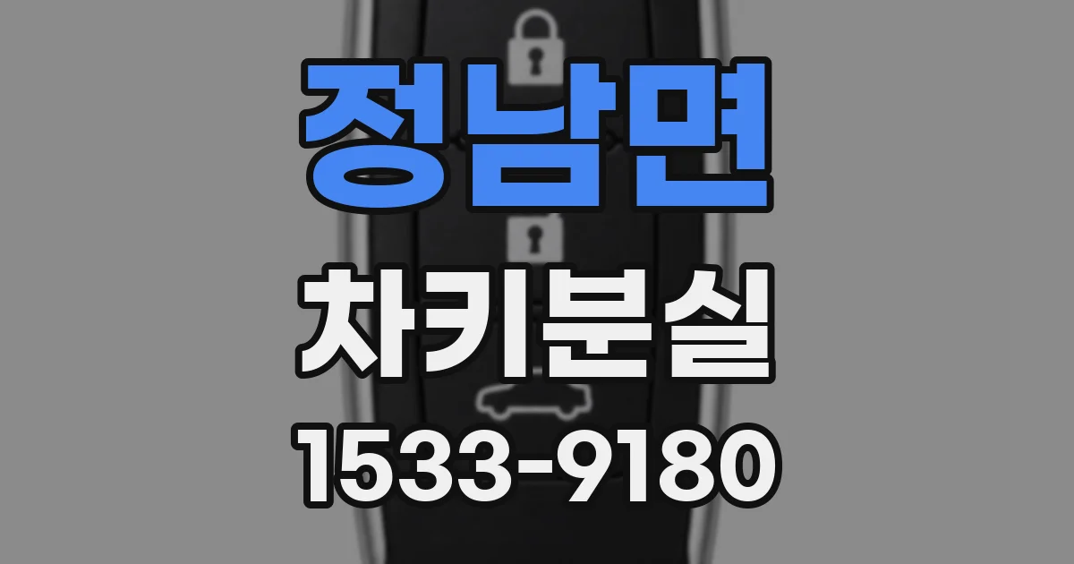 정남면 차키분실
