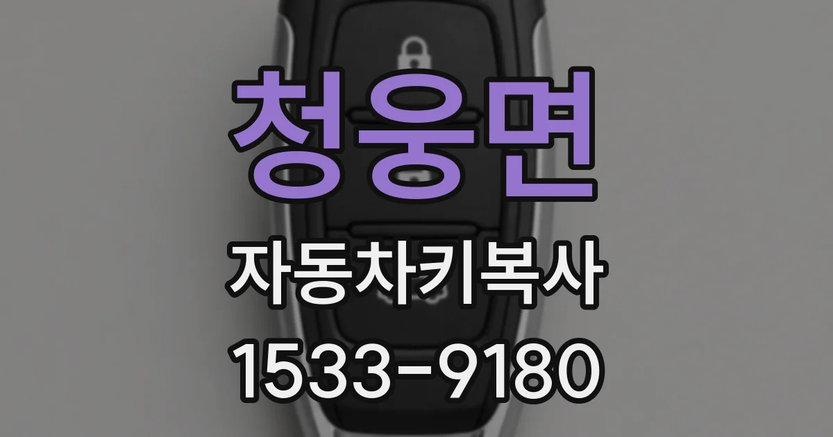 청웅면 자동차키복사