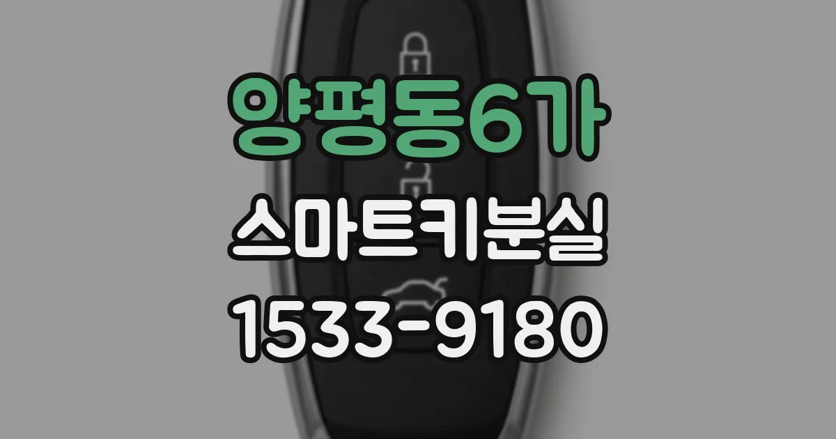 양평동6가 스마트키분실