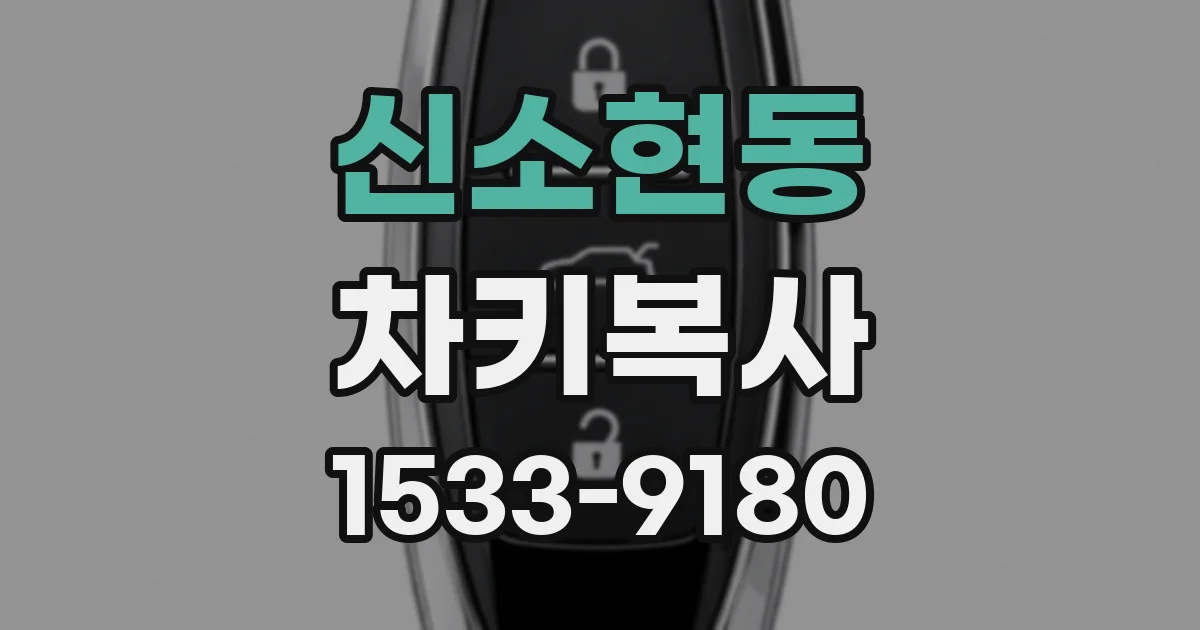 신소현동 차키복사