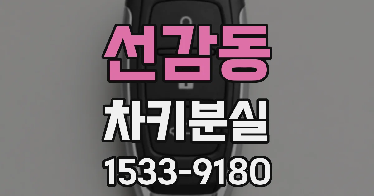 선감동 차키분실