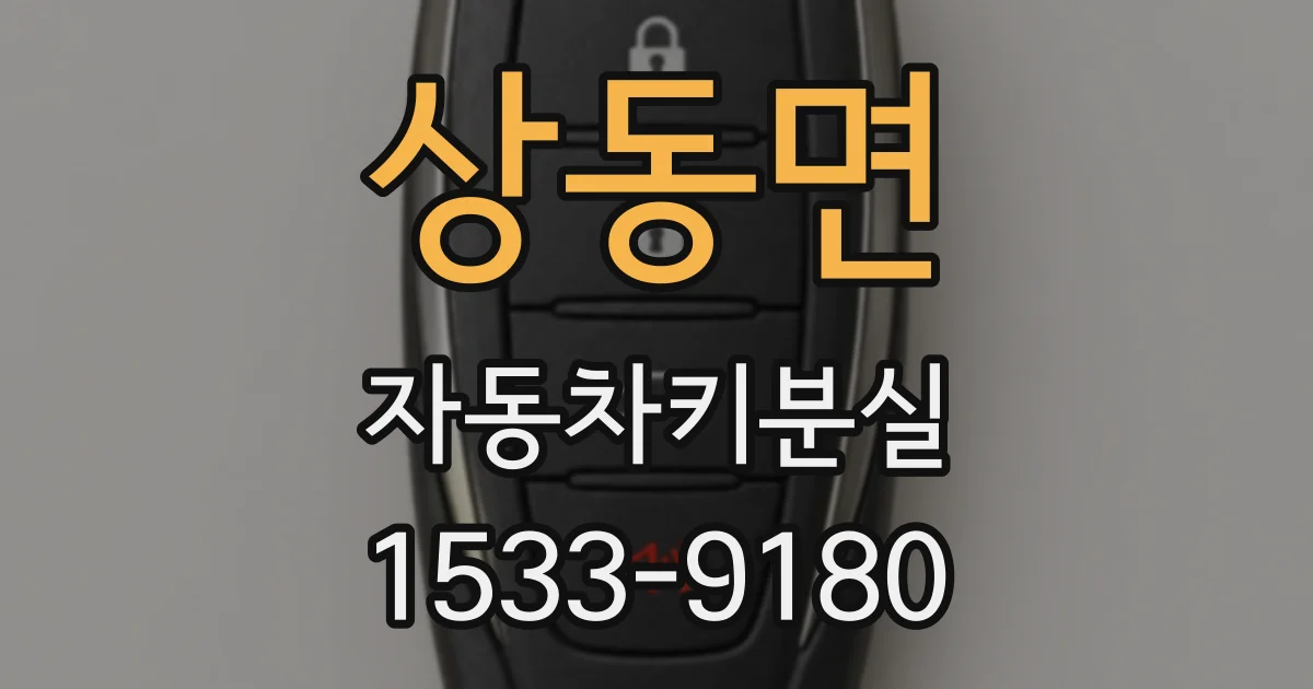 상동면 자동차키분실
