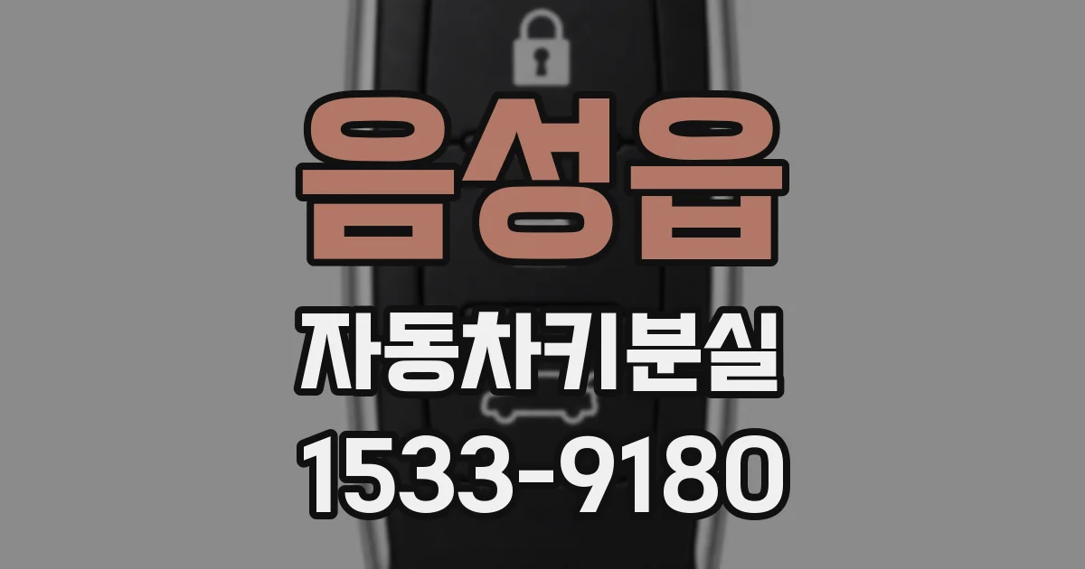 음성읍 자동차키분실