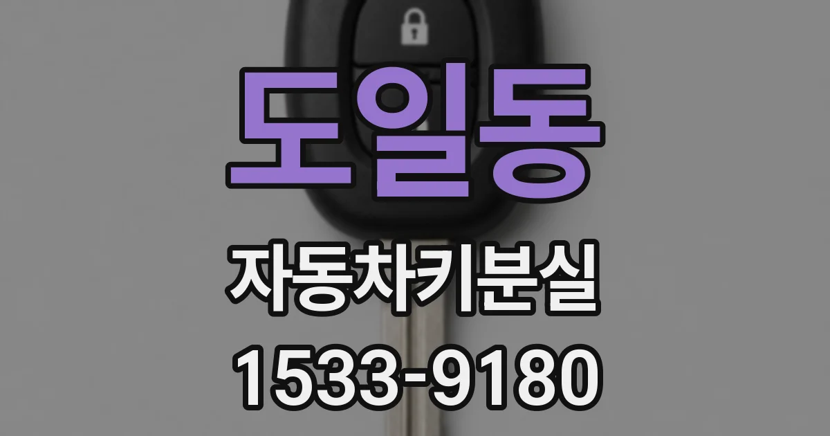 도일동 자동차키분실