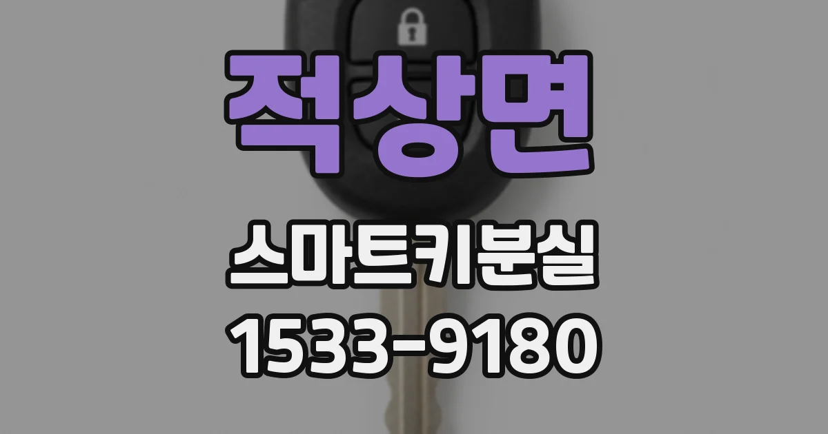 적상면 스마트키분실