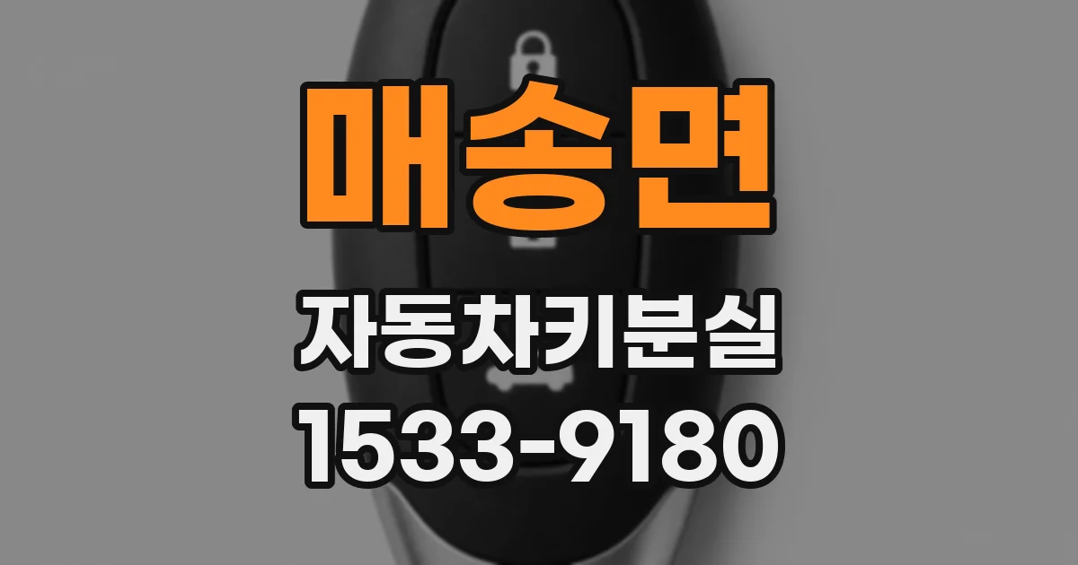 매송면 자동차키분실