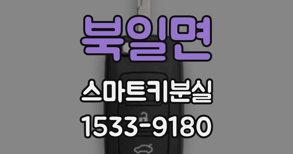 북일면 스마트키분실